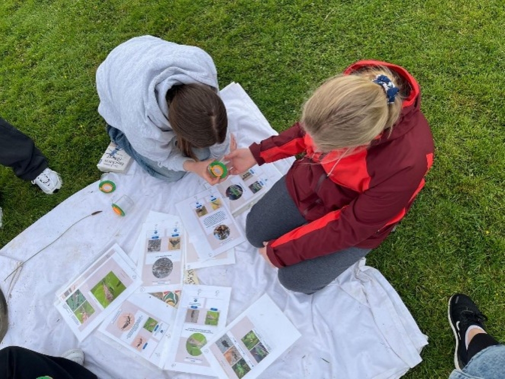 Foto_Projekt_Artenvielfalt