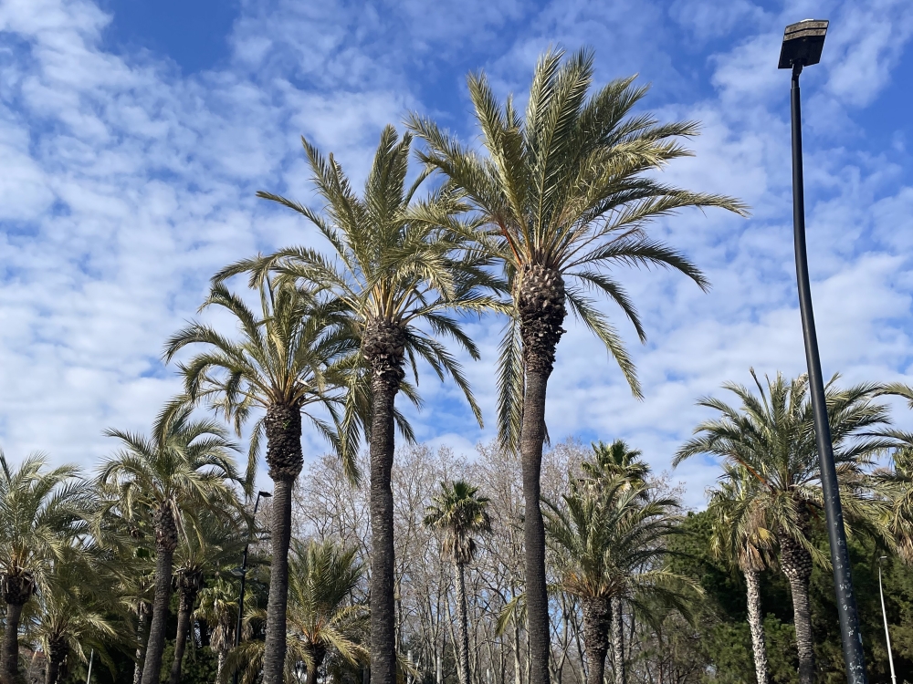 Bild_Erasmus_Spanien